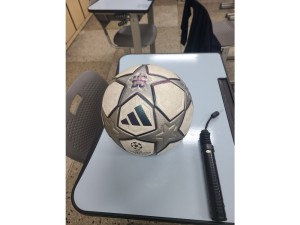 챔피언스 축구공